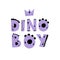 Dino Boy. Dinosaur lettering. Vector illustration in cartoon Scandinavian style. Childish design for birthday invitation or baby