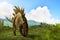 Dinosaur 3d render, Stegosaurus in the jungle