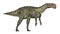 Dinosaur Altirhinus isolated on white background