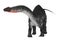 Dinosaur Apatosaurus on White