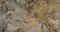 Dinosaur bones rocky cliff ancient history Utah pan 4K