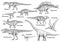 Dinosaur collection, illustration, drawing, engraving, ink, line art, vector