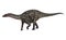 Dinosaur Dicraeosaurus