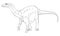 Dinosaur Diplodocus Brontosaurus Outline Coloring