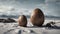 dinosaur eggs on the beach The dinosaur egg was an exploited creature that existed in the dystopian world,