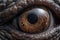 Dinosaur Eye - Close-Up View of a Reptile\'s Eye