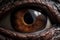 Dinosaur Eye - Close-Up View of a Reptile\'s Eye