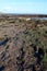 Dinosaur footprints, Compton beach, Isle of Wight