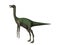 Dinosaur Gallimimus