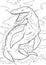 Dinosaur Kronosaurus illustration coloring book and education