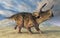 Dinosaur Nasutoceratops in a landscape