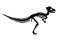 Dinosaur Pachycephalosaurus Skeleton Silhouette Illustration Isolated