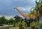 Dinosaur park