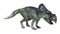 Dinosaur Protoceratops