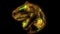 Dinosaur silhouettes face video laser animation
