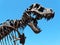 Dinosaur skeleton head against clear sky