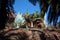 Dinosaur statue amidst tropical greenery, Universal Studios\\\' Jurassic Park ride