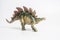 Dinosaur , Stegosaurus on white background