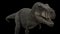 Dinosaur T-Rex loop walking with alpha channel
