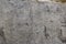 Dinosaur tracks on Cal Orcko Wall - Sucre, Bolivia