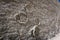 Dinosaur tracks on Cal Orcko Wall - Sucre, Bolivia
