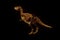 Dinosaur TRex Skeleton in Hologram Wireframe Style. Nice 3D Rendering