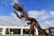This dinosaur, tyrannosaurus rex museum moon valley san juan argentina