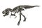 Dinosaur Tyrannosaurus-Rex skeleton metal model