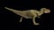 Dinosaur tyrannosaurus run and roar loop alpha