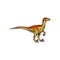 Dinosaur tyrannosaurus or T-rex isolated animal