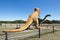 Dinosaur Valley on the Paluxy river in Texas.