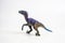 Dinosaur , Velociraptor on white background