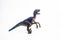 Dinosaur , Velociraptor on white background