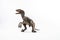 Dinosaur , Velociraptor on white background