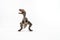 Dinosaur , Velociraptor on white background