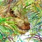 Dinosaur watercolor. Dinosaur, tropical exotic forest background illustration Dinosaur.