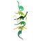 Dinosaurs Brachiosaurus or Diplodocus. Eating Plants Walking Multicolored Cartoon Characters Print Design for Boy