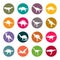 Dinosaurs circle colourful vector icon set