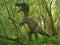 Dinosaurs in the forest