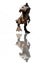 Dinosaurs model on white background