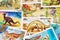 Dinosaurs postage stamps background