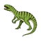 Dinosaurs Tyrannosaurus rex, Afrovenator, Megalosaurus, Tarbosaurus, Struthiomimus skeletons, fossils. Prehistoric