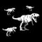 Dinosaurus T-REX black background illustration vector