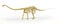 Diplodocus dinosaur full skeleton photo-realistc rendering. Perspective view.