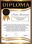 Diploma golden template. Vertical background. Winning the competition. Reward. Vector