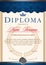 diploma vertical in the Royal style Vintage, Rococo, Baroque.blue c gold color scheme