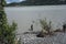 Dipping for fish at the copper river