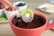 Dipping kiwi slice into pot with chocolate fondue on table