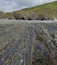 Dipping Rock Strata on Beach