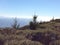 Dipsea Trail, Muir Woods, San Francisco, CA